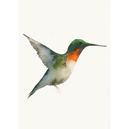 [HP007717] Kunstdruck Aquarell Kolibri Grün