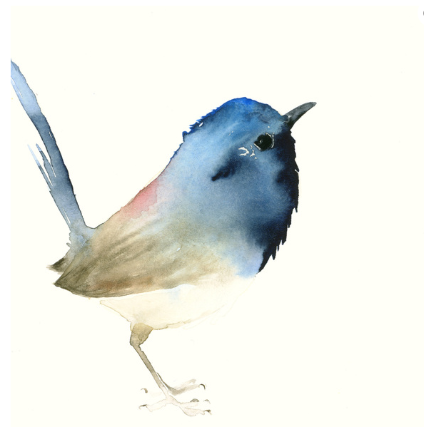 Kunstdruck Aquarell Blauer Vogel