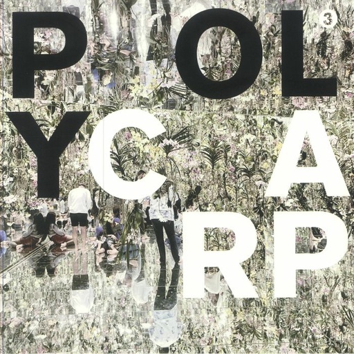 [PR/03466] Polycarp 3 Six Months