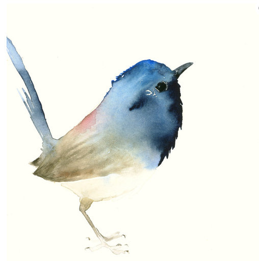 [HP004305] Kunstdruck Aquarell Blauer Vogel